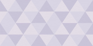 Geometrica Gris DW9GEO05 Декор 249*500 (500*250*9)