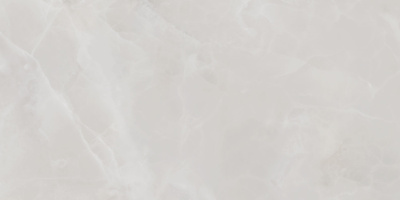 TWU09RVL007 плитка облицовочная Rivoli 249*500*7,5