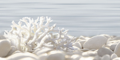 DWU09DLM624 декор Del Mare 249х500х7,5 (12 шт. в коробке)